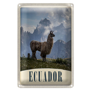 Blechschild Reise 20x30cm Fuerteventura Spanien Lama Berge