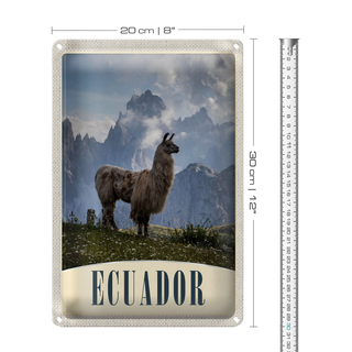 Blechschild Reise 20x30cm Fuerteventura Spanien Lama Berge