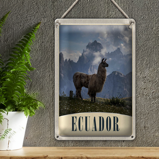 Blechschild Reise 20x30cm Fuerteventura Spanien Lama Berge