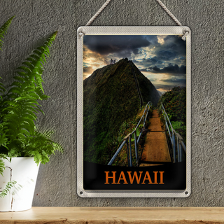 Blechschild Reise 20x30cm Hawai Insel Strand Palmen Natur