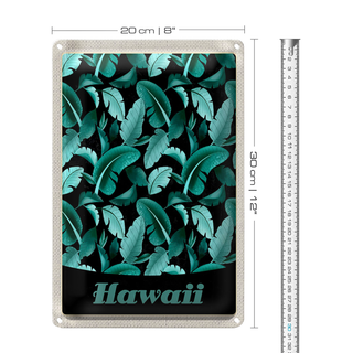 Blechschild Reise 20x30cm Hawai Insel Strand Blätter blau