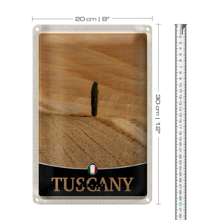 Blechschild Reise 20x30cm Toskana Italien Wüste Baum Sand Schild