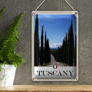 Blechschild Reise 20x30cm Toskana Italien Allee Weg Schild