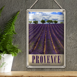 Blechschild Reise 20x30cm Provence Frankreich Lila Natur
