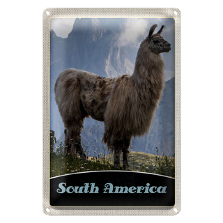 Blechschild Reise 20x30cm Süd Amerika Lama Gebirge Wiese