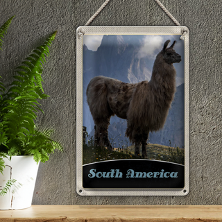 Blechschild Reise 20x30cm Süd Amerika Lama Gebirge Wiese