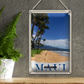 Blechschild Reise 20x30cm Maui Hawaii Insel Strand Wellen