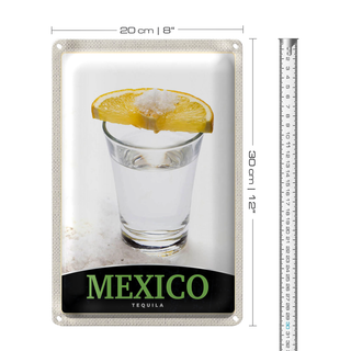 Blechschild Reise 20x30cm Mexiko USA Amerika Tequila Zitrone