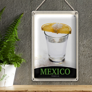 Blechschild Reise 20x30cm Mexiko USA Amerika Tequila Zitrone
