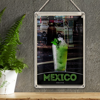 Blechschild Reise 20x30cm Mexiko USA Amerika Mojito Limette