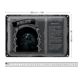 Blechschild Berufe 30x20cm Bergleute sprengt bohren Berge