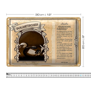 Blechschild Berufe 30x20cm Dolmetscher Gedächtniswunder