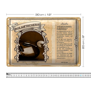 Blechschild Berufe 30x20cm Dolmetscherin Gedächniswunder