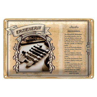 Blechschild Berufe 30x20cm Erzieherin Lehrerin Bücher