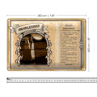 Blechschild Berufe 30x20cm Fahrlehrer Nerven aus Stahl