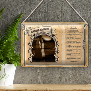 Blechschild Berufe 30x20cm Fahrlehrer Nerven aus Stahl