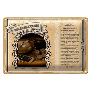 Blechschild Berufe 30x20cm Finanzberater Spezialist Blick