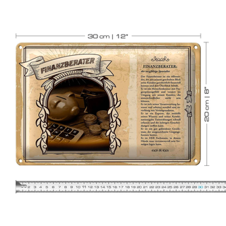 Blechschild Berufe 30x20cm Finanzberater Spezialist Blick
