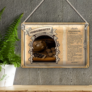 Blechschild Berufe 30x20cm Finanzberater Spezialist Blick
