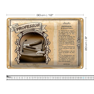 Blechschild Berufe 30x20cm Professor Optimist Wissen Mensch