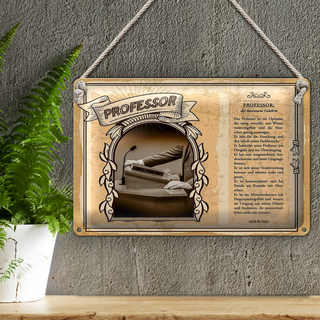 Blechschild Berufe 30x20cm Professor Optimist Wissen Mensch