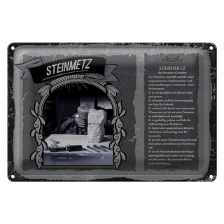 Blechschild Berufe 30x20cm Steinmetz Meisterwerke exakt