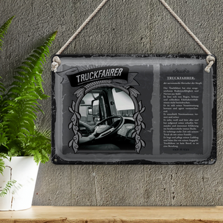 Blechschild Berufe Truckfahrer Nerven aus Stahl  30x20cm