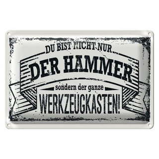Blechschild Spruch 30x20cm Du bist nicht nur