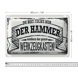Blechschild Spruch 30x20cm Du bist nicht nur
