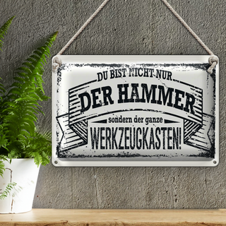 Blechschild Spruch 30x20cm Du bist nicht nur