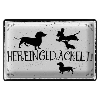Blechschild Spruch 30x20cm Hereingedackelt!