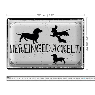 Blechschild Spruch 30x20cm Hereingedackelt!