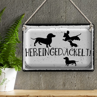 Blechschild Spruch 30x20cm Hereingedackelt!