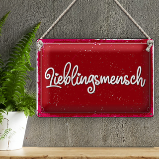 Blechschild Spruch 30x20cm Lieblingsmensch