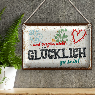 Blechschild Spruch 30x20cm Und vergiss nicht Glücklich zu sein!