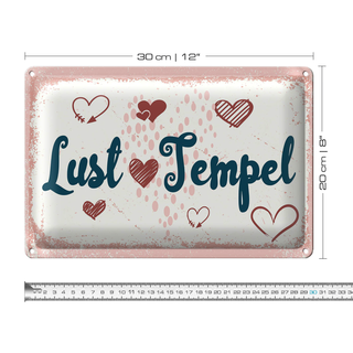 Blechschild Spruch 30x20cm Lust Tempel rosa glücklich