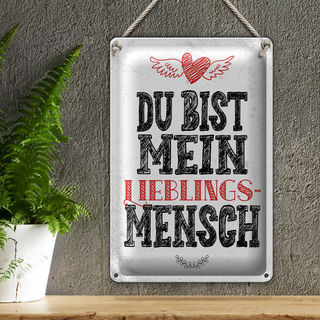 Blechschild Spruch Du bist Lieblingsmensch mein Engel 20x30cm