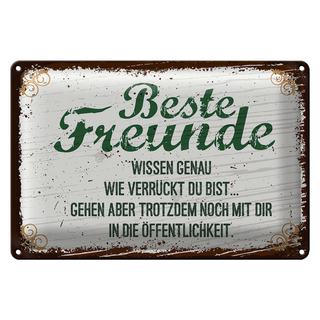Blechschild Spruch Beste Freunde verrückt wissen genau 30x20cm