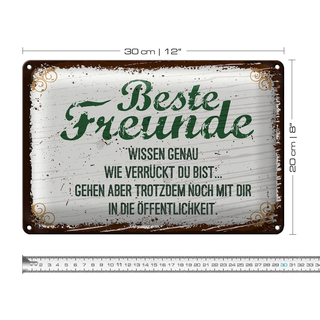 Blechschild Spruch Beste Freunde verrückt wissen genau 30x20cm