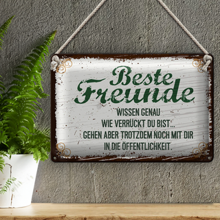 Blechschild Spruch Beste Freunde verrückt wissen genau 30x20cm