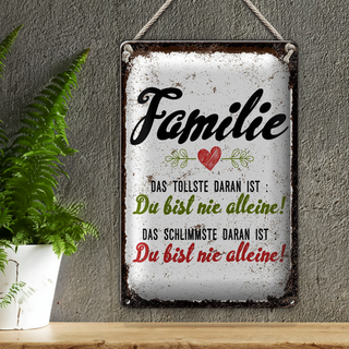Blechschild Spruch Familie Du bist nie alleine 20x30cm