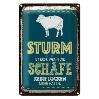 Blechschild Spruch Sturm wenn Schafe keine Locken 20x30cm