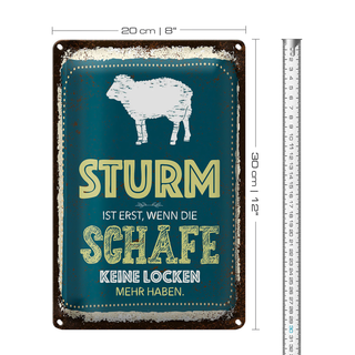 Blechschild Spruch Sturm wenn Schafe keine Locken 20x30cm