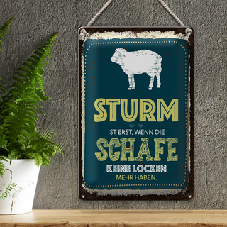 Blechschild Spruch Sturm wenn Schafe keine Locken 20x30cm