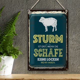 Blechschild Spruch Sturm wenn Schafe keine Locken 20x30cm