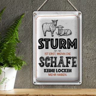 Blechschild Spruch lustig Sturm wenn Schafe Locken 20x30cm