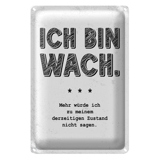 Blechschild Spruch lustig Zustand Ich bin wach 20x30cm