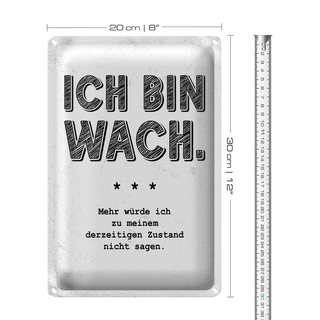 Blechschild Spruch lustig Zustand Ich bin wach 20x30cm