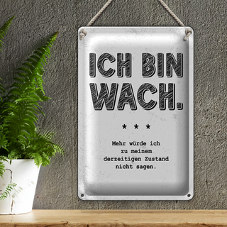Blechschild Spruch lustig Zustand Ich bin wach 20x30cm