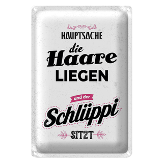 Blechschild Spruch Hauptsache Haare liegen Schlüppi 20x30cm